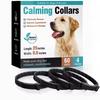 Cães – Produtos para treino de animais