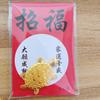 Lucky Golden Turtle Japanese Asakusa Temple Craft Ornament Guardian Prayers Wealth Peace and Longevity Amulet Gifts
