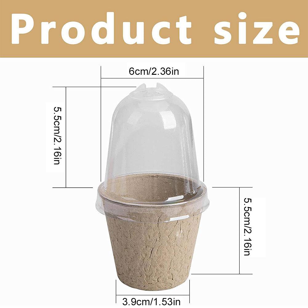 

10 шт. стакан для рассады, прозрачная крышка, теплица, ящик для разведения, биоразлагаемый стакан для выращивания растений для садоводства