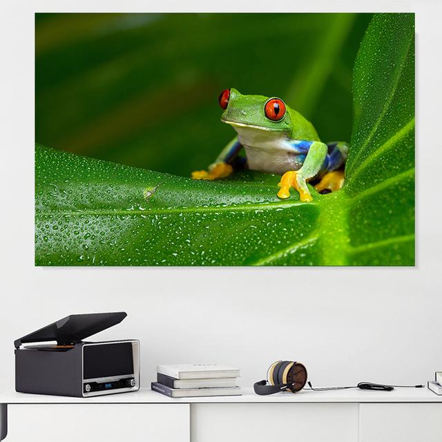 Pictură pe pânză cu animale Broasca de copac care râde Postere și imprimeuri Poze de artă de perete peisaj pentru camera de zi Decor fără cadru
