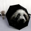 Panda Close-up pattern, automatic folding umbrella, portable and foldable design, 8 ribs, a Christmas or birthday gift.