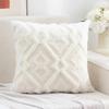 Beige Snowflake Velvet Jacquard Throw Pillow Covers Printed Pillowcase  Decor Home Decor Room Decor Bedroom Cushion cover