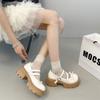 French Round Head Platform Girls Small Leather Shoes 2025 New Spring and Autumn with Skirt Retro Mary Jane Thick Heel Single Shoes