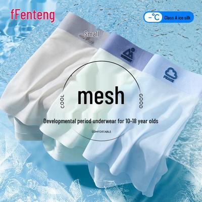 Fen Teng Ανδρικά Αντιβακτηριδιακά Αθλητικά Μποξεράκια από Μετάξι Πάγου Χωρίς Ραφές