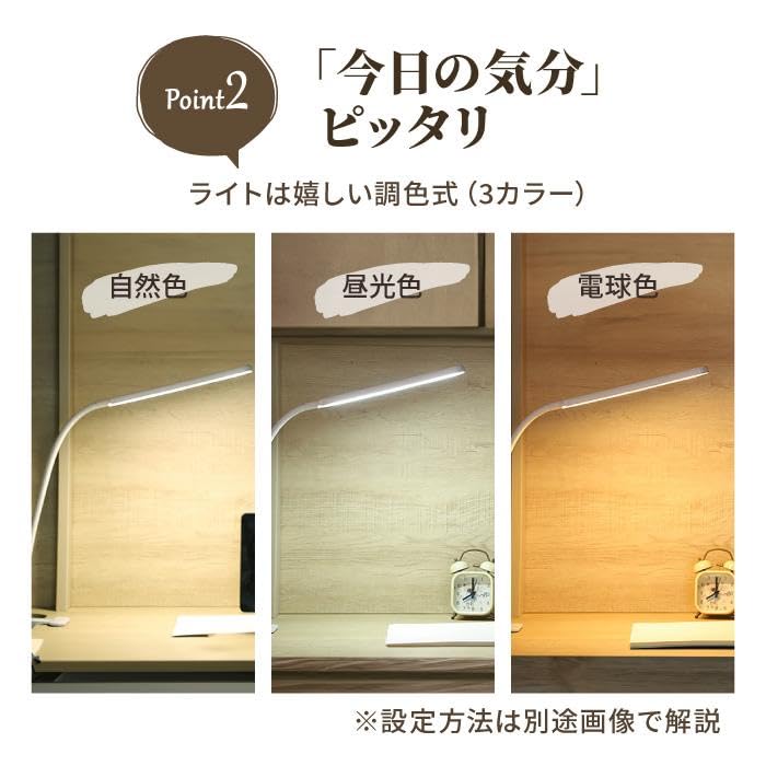 Stylish Desk Lamp with Clamp and Clip, Bright, Stepless Dimming, Color Temperature Adjustment, White, Study Lamp, Stand Lamp, USB Powered, Table