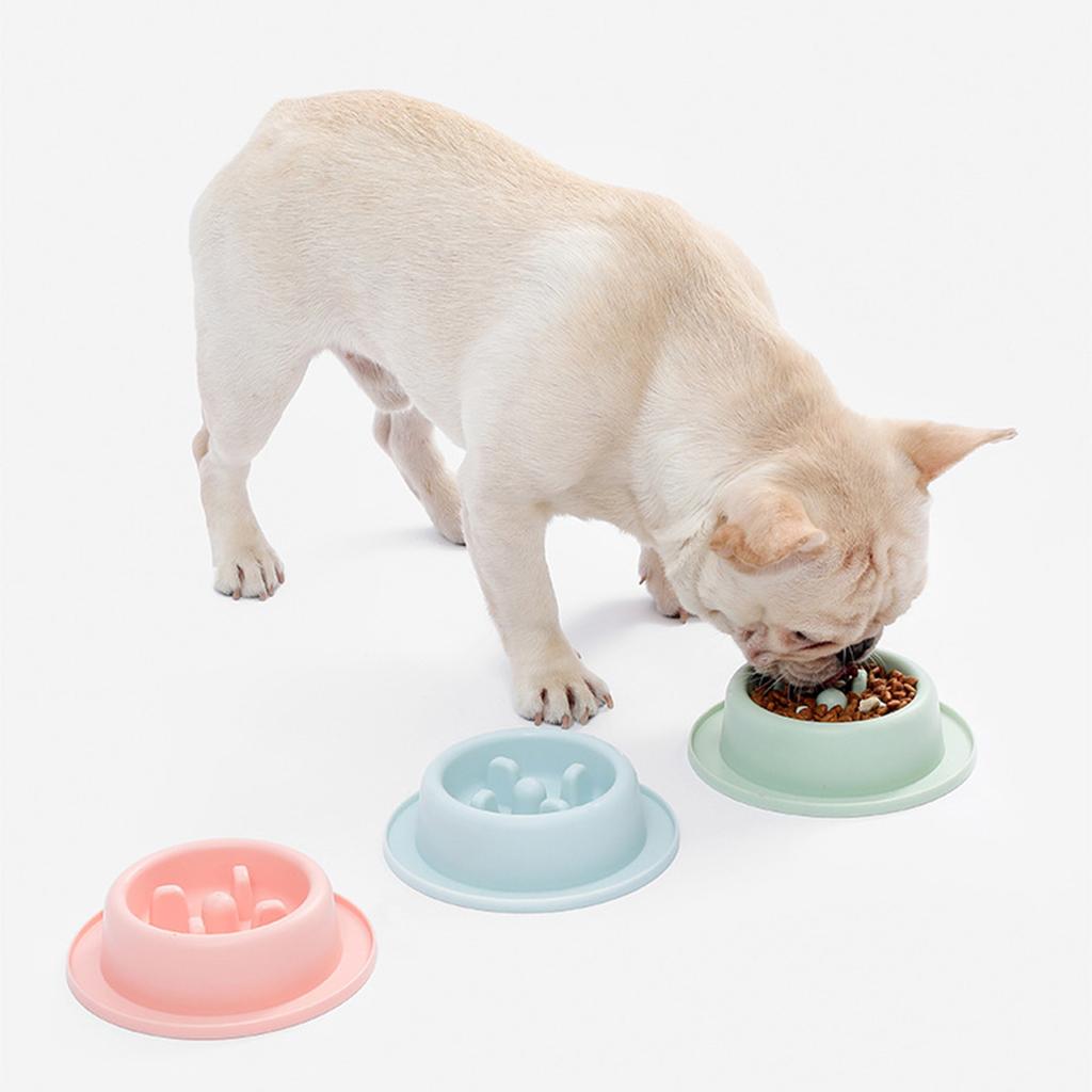 Slow Feeder Fun Shape Bowls Slow Feeding Dog Bowl Avoid Choking Stop Bloat Dish Slow Eating Pet Round Bowl Easy to Clean