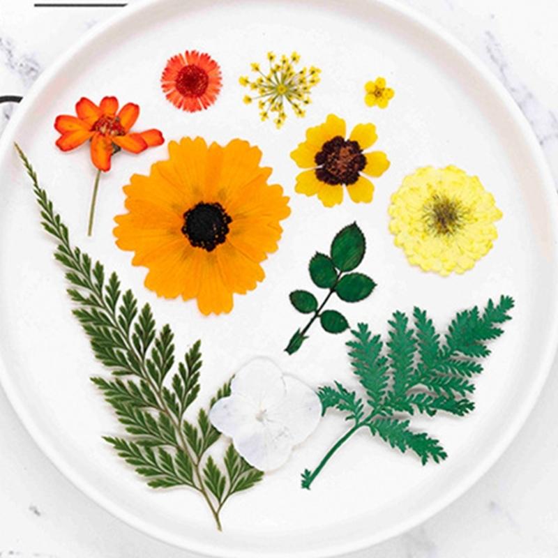 25Pcs Natural Pressed Dried Flower Leaves Set For Jewelry Soap Making