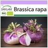 Organic - Turnip - Milan Purple - 600 Seeds - Brassica Rapa