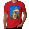 famous cat from Riga T-Shirt shirts graphic tees oversizeds blacks t-shirts