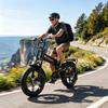 RANDRIDE YX20M-2,Städtisches Elektrofahrrad,doppelte 1000W Motoren,48V 20Ah Akku,20x4-Zoll Reifen,7-Gang-Schaltgetriebe.