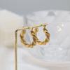 18K Gold Personalized Twist Earrings Women'S Light Luxury Titanium Steel Ear Jewelry High-End Niche