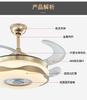 220V Invisible Leaf Ceiling Fan Light, Bedroom, Living Room, Dining Room, Study, with Remote Control Ventilation Pendant Light