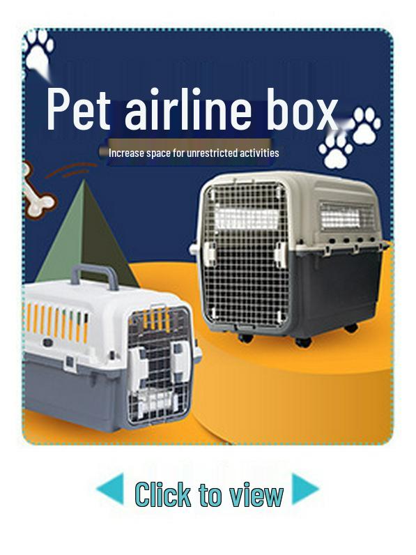 Portable Plastic Pet Carrier for Small/Medium Pets - Detachable Airline-Approved Transport Box