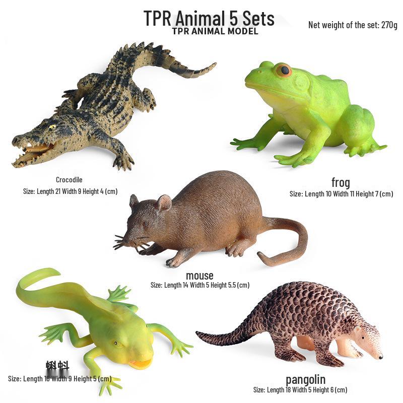Wild Safari Animal Figurines: Giraffe, Elephant, Rhinoceros, Brown Bear, Tiger, Lion, Leopard, Hippopotamus - Solid Cognitive Toys