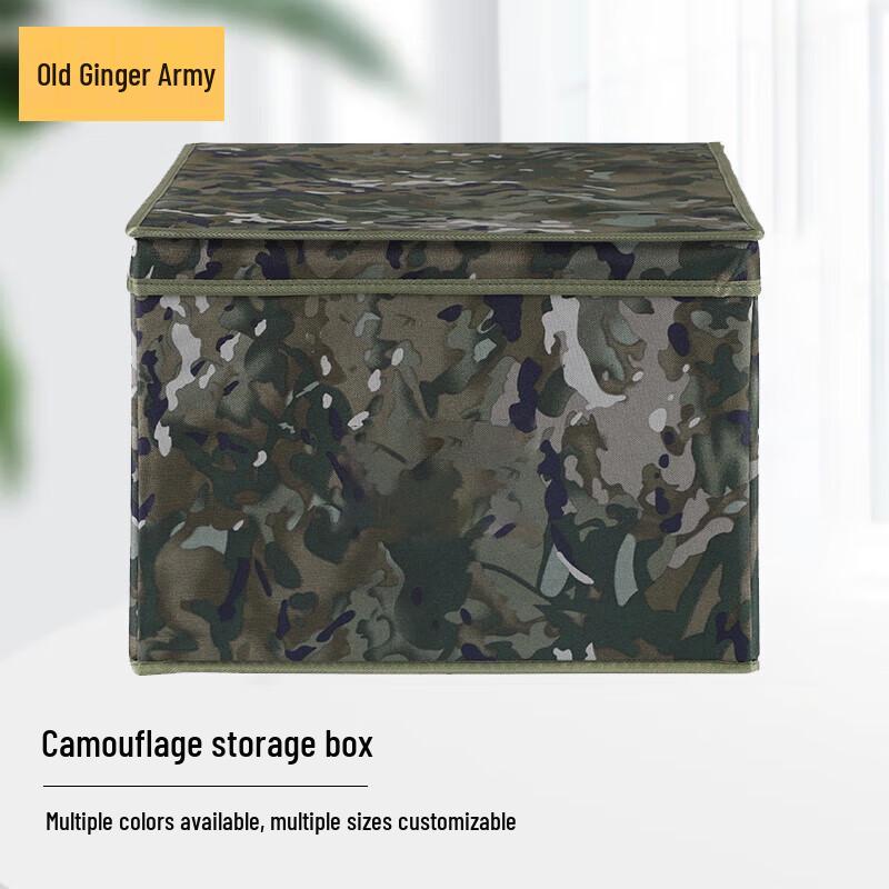 Lao Jiang Jun Foldable Storage Organizer Box
