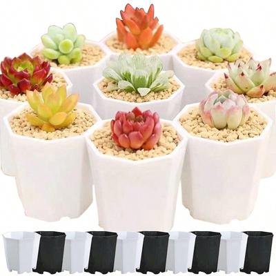 10pcs Octagonal Flowerpot Plastic Black White Seedling Pot Succulent Decoration Combination Breathable Planting Supplies TMZ