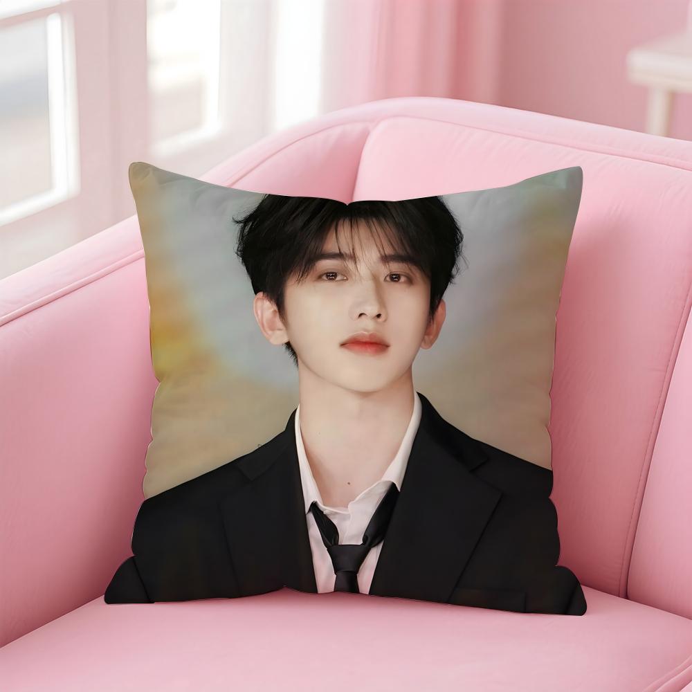 singer trendy CCai Xukun Cushion Cover Pillow Case Soft Skin Friendly Fabric  Concealed Zipper