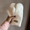 Winter Warmth Gloves For Women With Plush Lining For Commuting And Outdoor Activities