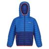 Regatta Childrens/Kids Hillpack II Colour Block Padded Jacket