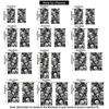 2Pcs All Over Dancing Skeleton Rod Pocket Curtains Double Panel Window Curtain Gothic Halloween Horror Decor Bedroom Living R