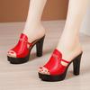 Women Shoes Summer Ladies Sandals High Heel Platform Slippers Woman Fashion Genuine Leather Comfort Open Toe Sandals Size 32-43