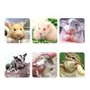 Hamster Cooling Bed for Small Pet Summer Cage Ice Bed Toy Cage Accessories Small Animal House Ice Bed PVC Cooling Mat