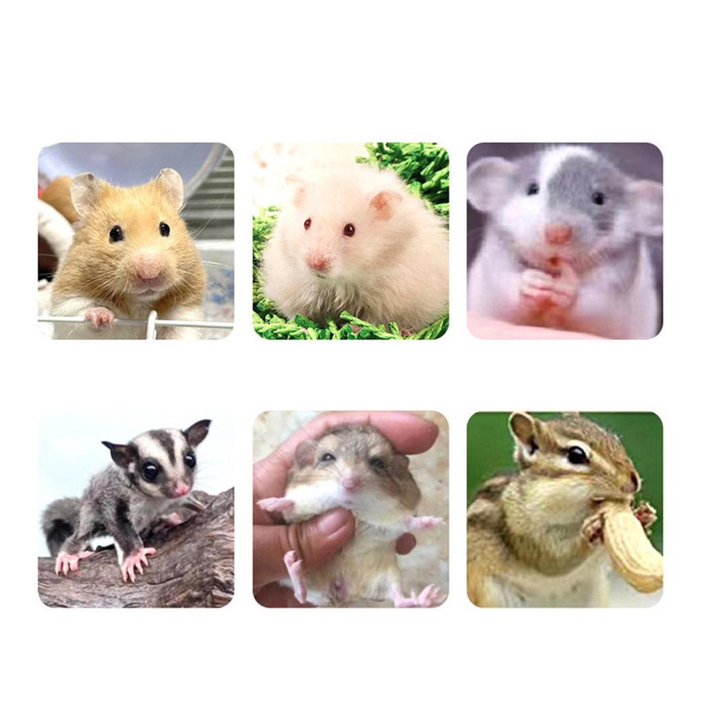 Hamster Cooling Bed for Small Pet Summer Cage Ice Bed Toy Cage Accessories Small Animal House Ice Bed PVC Cooling Mat