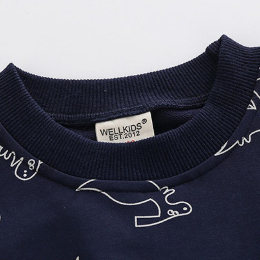Boys Dinosaur Pullover Sweatshirt Long Sleeve Crewneck Blue Gray
