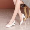 Spring and Autumn Single Shoes Soft Sole Comfortable Leather Shoes Women's Thick Heel One-word Buckle Work Shoes