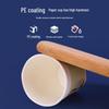 ZISIZ Disposable Paper Cups