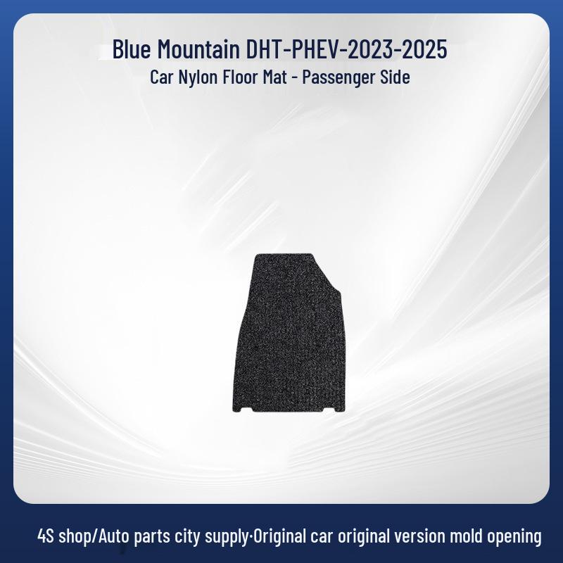 Removable Nylon Floor Mats for Blue Mountain DHT-PHEV-23-25 Cars