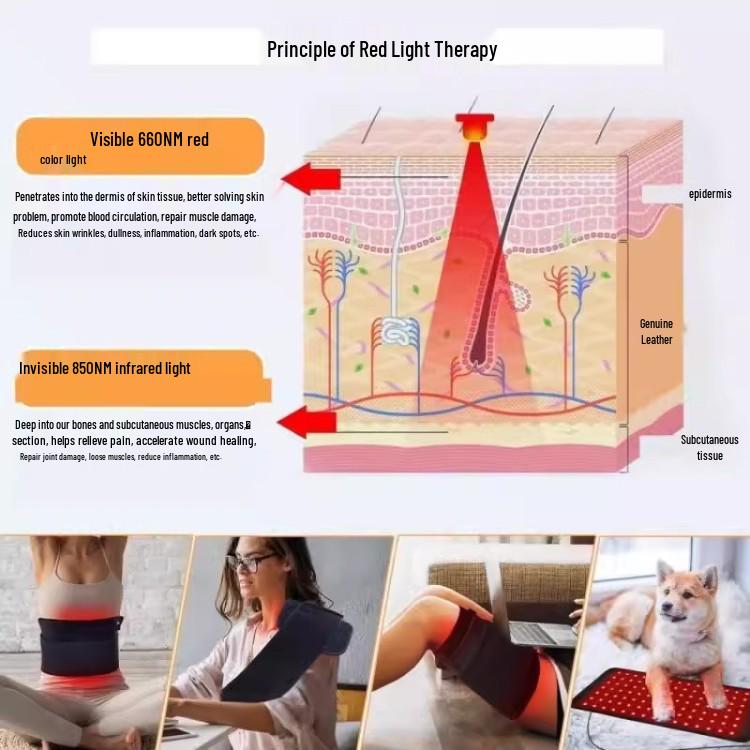 Cross 120 LED Infrared Red Light Therapy Lamp with Vibration Waist Belt and Shoulder & Leg Guard