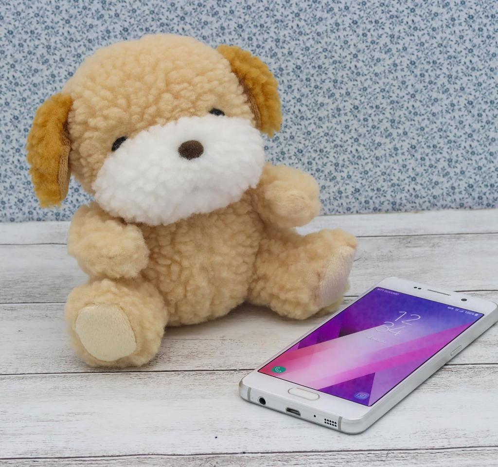 Shinada Plush Toy Petit Mou Dog