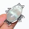Prehnite Gemstone Handmade 925 Sterling Silver Jewelry Ring Size Adjustable SU-10568