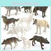Arctic Wolf Wildlife Pvc Figurine Models For Collectors And Nature Scene Decor