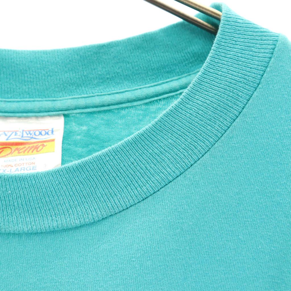 HAZELWOOD 90s Made in USA Old Arizona Short sleeve T-shirt Men's Used