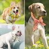 Reusable Pet Cooling Neck Wrap, Summer Cartoon Ice Collar for Dogs Cats, Heat Relief Cold Scarf for Outdoor Walk