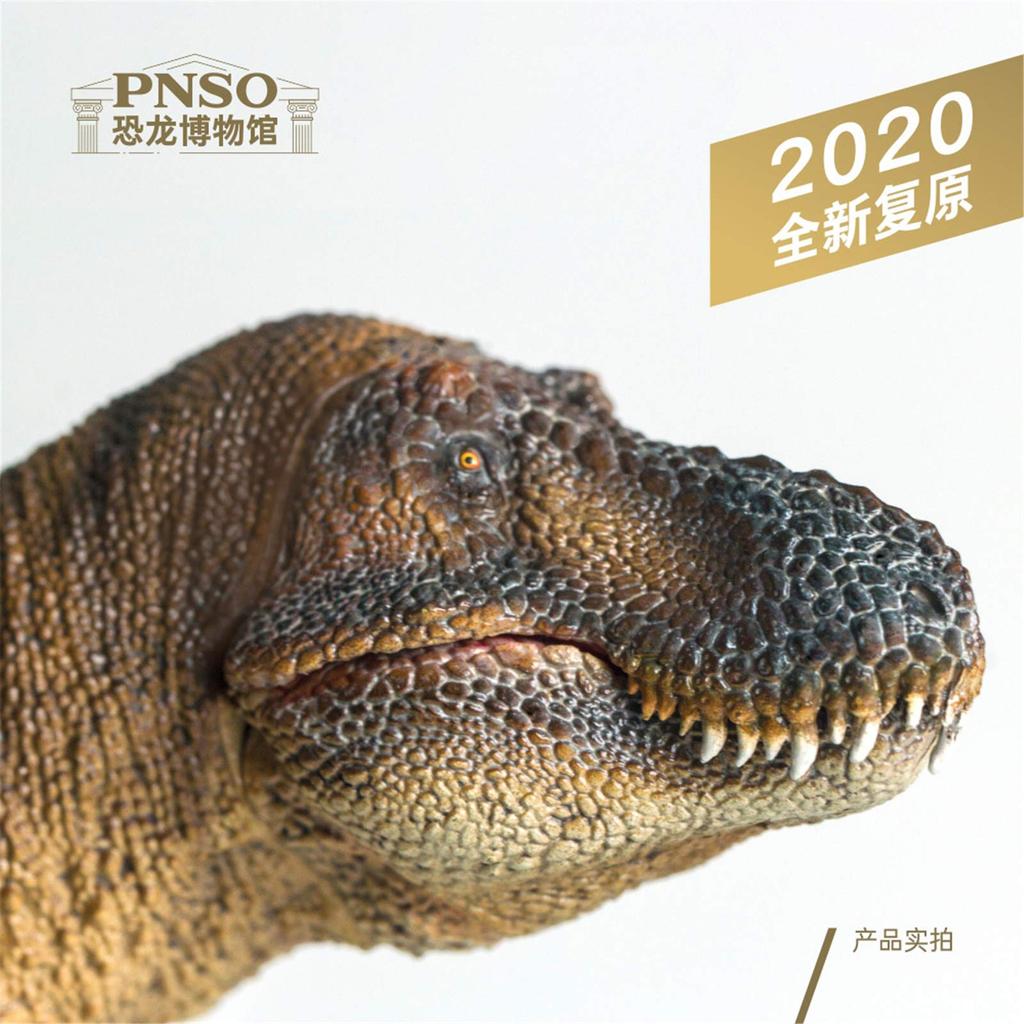PNSO Dinosaur Museum 135 Scale Tyrannosaurus Rex Realistic Figure PVC Plastic Model Toy Dinosaur Lover Birthday Gift Original Science Art Painted