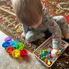 78Pcs Preschool Learning Activities Math Toys Children'S Rainbow Counting Pompoms Props Sorting Cup Montessori Sensory Toys