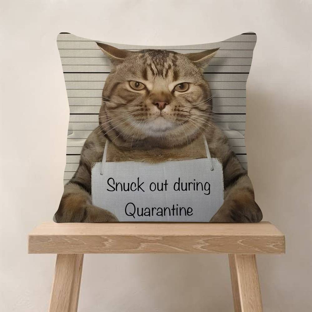 Cute Cat Pillow Gift Home Office Decoration Bedroom Sofa Car Cushion Cover Case 45x45