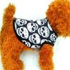 Autumn Dog Clothes For Halloween Skeleton Pattern Halloween Dog Clothes Dog Clothing Pet Apparel