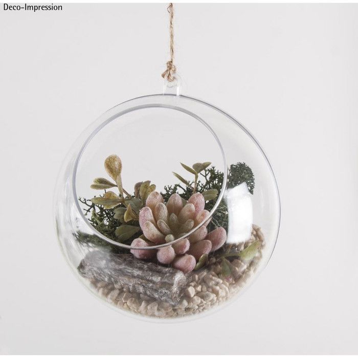 Artificial Plant - Rayher - Echeveria - Plastic - 4 X 2.5 Cm - Realistic Appearance