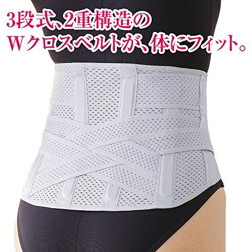 Alphax Waist Support Belt Corset, Made in Japan, Doctor's Corset, Premium Specification, Sizes M-L