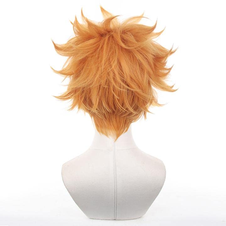 LVMEY Character Orange for Costume Comic Cultural School Festival Wig, Anime, Shot, Disguise, Costume, Heat-Resistant Wig, Hairpiece, Accessory,