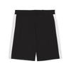 Puma Logo Color Block Casual Shorts Men shorts 634534-01