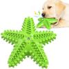 Dog Starfish Teething Toy & Toothbrush: Pet-Friendly Chew Stick