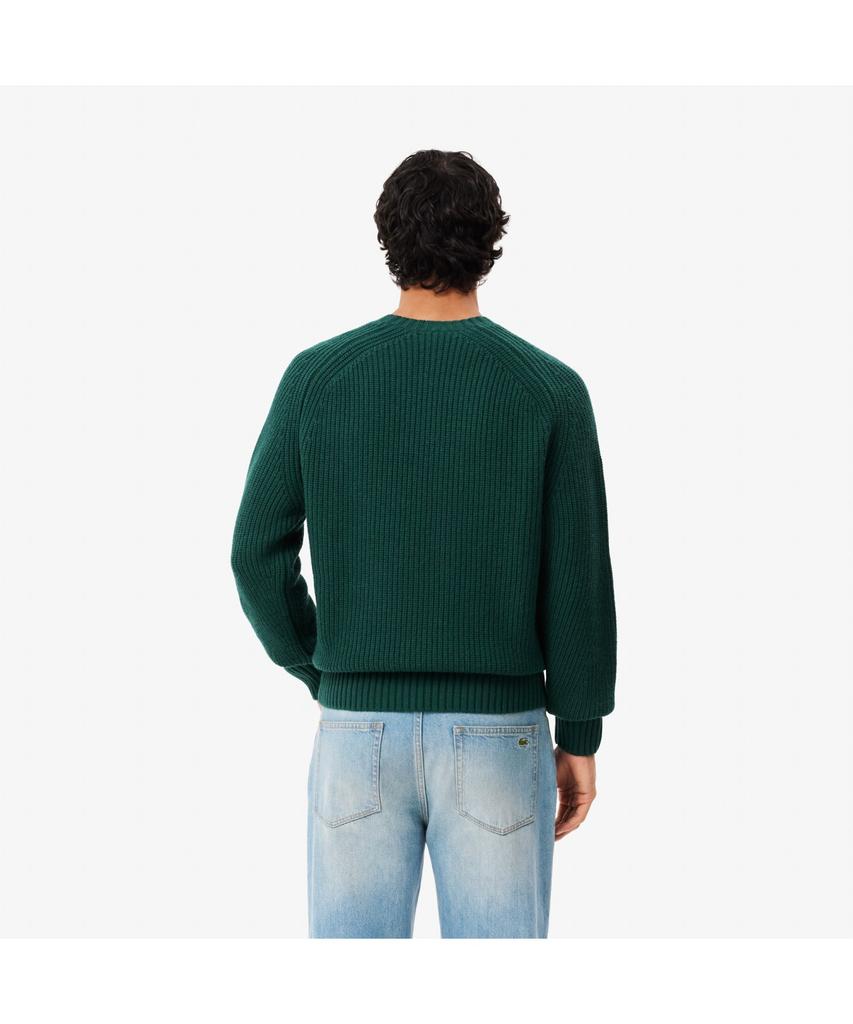 LACOSTE Men'S Rib Knit Wool Pullover Ah3142-54N Yzp