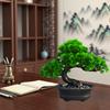 Artificial Welcoming Pine Desktop Bonsai with A Realistic Base, Suitable for Home Living Room and Bedroom Decoration.