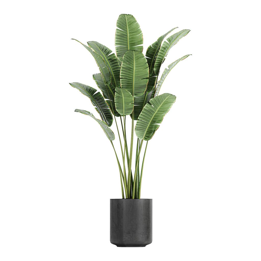 Fresh Potted Plant Realistic Wall Sticker for Bedroom Living Room Entrance Home Wall Decoration Self-Adhesive