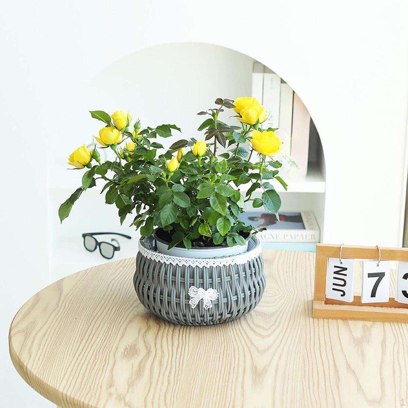 

Корзина для цветов, контейнер для растений, имитация ротанга, легкое внутреннее украшение, многоцелевое использование Grey S